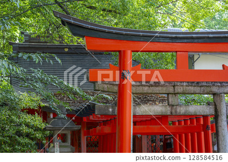 Summer in Kyoto: Fujimori Shrine, Fujimori Inari Shrine Summer in Kyoto: Fujimori Shrine, Fujimori Inari Shrine 128584516