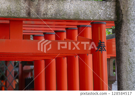 Summer in Kyoto: Fujimori Shrine, Fujimori Inari Shrine 128584517