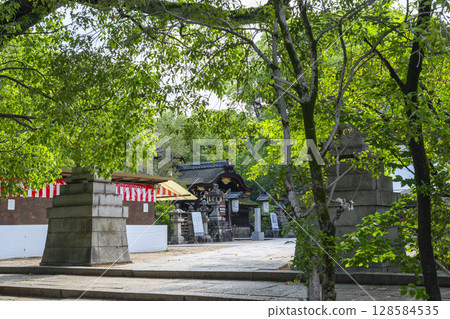 夏季京都藤森神社本社 128584535