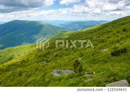 wonderful mountain landscape for travel with green hill in summer. nature scenery with scenic view in to the distant valley of carpathians in dappled light. hiking through transcarpathia highland wonderful mountain landscape for travel with green hill in summer. nature scenery with scenic view in to the distant valley of carpathians in dappled light. hiking through transcarpathia highland 128584641