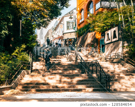 Kichijoji Autumn Inokashira Park 128584654
