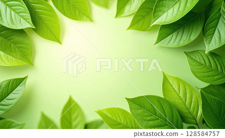 AI圖像:新鮮綠葉背景素材 AI圖像:新鮮綠葉背景素材 128584757