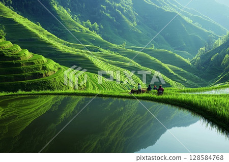 Spring Awakens the Vibrant Green Rice Terraces in the Morning Light. Generative AI 128584768
