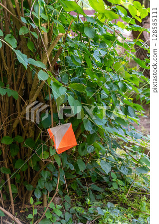 Street orienteering control point with a prism marker and electric composter attached to a tree. 128585111