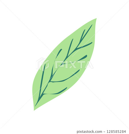 Wild and garden flowers, leaves. Modern vector botanical illustrations in trendy bright colors on white background. hand drawn floral design elements Wild and garden flowers, leaves. Modern vector botanical illustrations in trendy bright colors on white background. hand drawn floral design elements 128585284