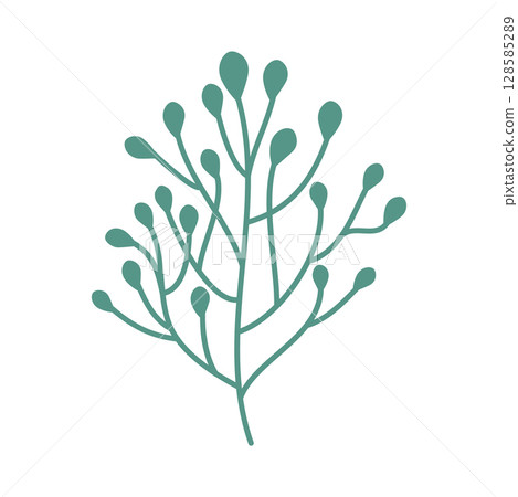 Wild and garden flowers, leaves. Modern vector botanical illustrations in trendy bright colors on white background. hand drawn floral design elements Wild and garden flowers, leaves. Modern vector botanical illustrations in trendy bright colors on white background. hand drawn floral design elements 128585289