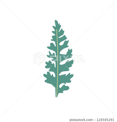Wild and garden flowers, leaves. Modern vector botanical illustrations in trendy bright colors on white background. hand drawn floral design elements 128585291