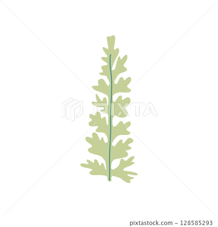 Wild and garden flowers, leaves. Modern vector botanical illustrations in trendy bright colors on white background. hand drawn floral design elements Wild and garden flowers, leaves. Modern vector botanical illustrations in trendy bright colors on white background. hand drawn floral design elements 128585293