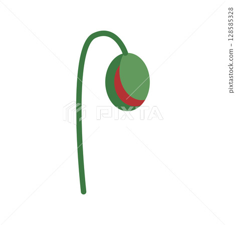 Wild and garden flowers, leaves. Modern vector botanical illustrations in trendy bright colors on white background. hand drawn floral design elements 128585328