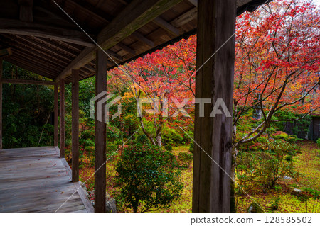 Saige-ji庭院在京都秋天 128585502
