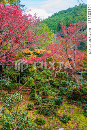 Garden of Saige-ji in autumn of Kyoto 128585504