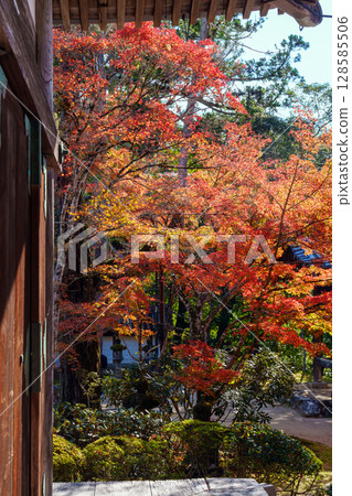 Garden of Saige-ji in autumn of Kyoto 128585506