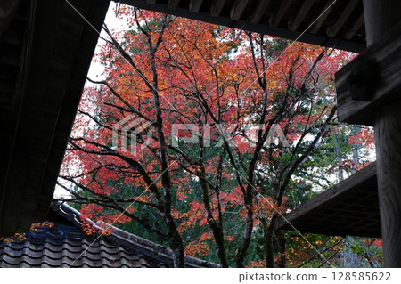 Saigyoji in Kyoto Autumn Saigyoji in Kyoto Autumn 128585622