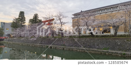 The Otorii gate of Heian Shrine and the Kyocera Museum of Art, Kyoto, seen across the Okazaki Canal 128585674