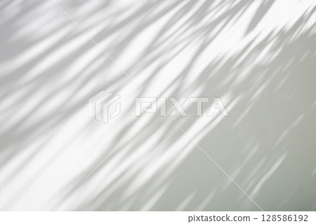 Abstract natural tree leaves shadow on white wall background 128586192