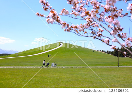 櫻花和莫埃來沼公園 128586801