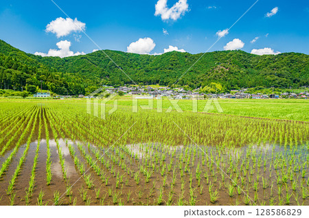 Rural scenery of Nishiasaimachi, Lake Biwa, Nagahama City, Shiga Prefecture 128586829