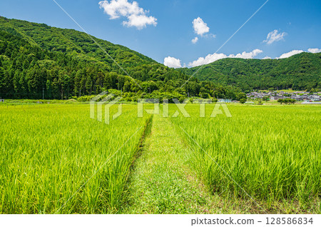 Rural scenery of Nishiasaimachi, Lake Biwa, Nagahama City, Shiga Prefecture 128586834