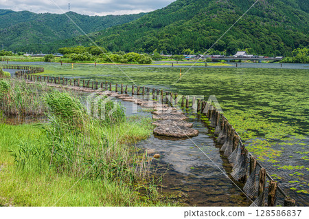 夏季的琵琶湖,滋賀郡長濱市 夏季的琵琶湖,滋賀郡長濱市 128586837