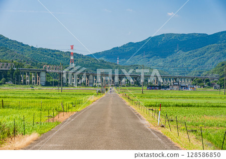 長濱市琵琶湖西夏西的田園風光 128586850