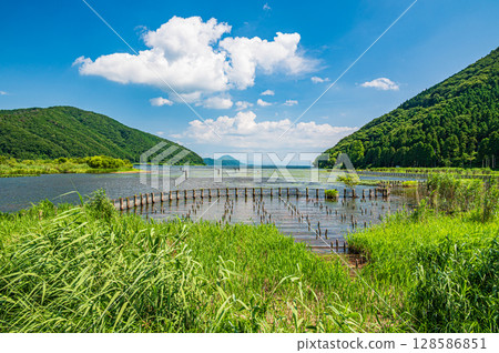 夏季的琵琶湖，滋賀郡長濱市 128586851