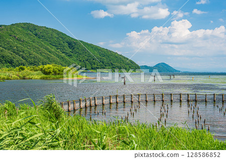 夏季的琵琶湖，滋賀郡長濱市 128586852