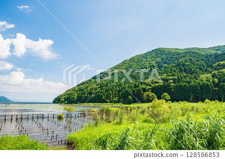 夏季的琵琶湖，滋賀郡長濱市 128586853