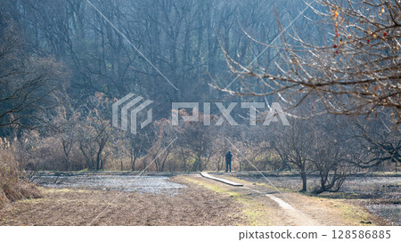 沐浴在冬日陽光下的北本自然觀察公園的散步道 沐浴在冬日陽光下的北本自然觀察公園的散步道 128586885