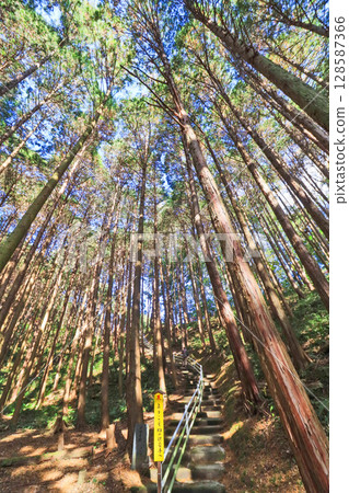 福岡縣宮古町觀音山半山腰的觀音寺參道 128587366