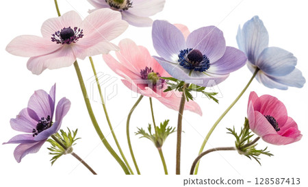 set of beautiful flowers 128587413