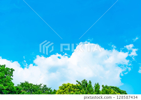 Blue sky, clouds and grove 128587434