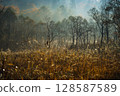 A rural landscape in late autumn shrouded in morning mist 128587589