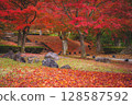 A carpet of autumn leaves and fallen leaves 128587592