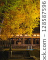 Yellow leaves of ginkgo trees on a long bed 128587596