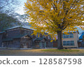 Kuramaru Elementary School and yellow ginkgo trees 128587598