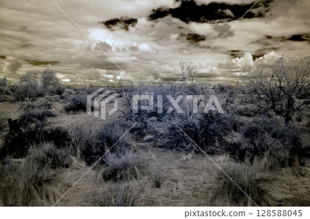 Sonoran Desert Arizona in Infrared Sonoran Desert Arizona in Infrared 128588045