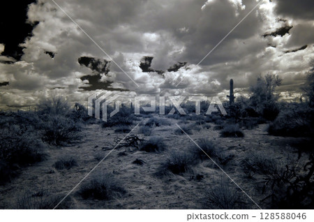 Sonoran Desert Arizona in Infrared 128588046
