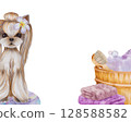 Watercolor illustration of a small Yorkshire Terrier dog with plumeria color in his hair, next to a wooden bath with foam . there are towels with bath accessories . Illustration hand-drawn on a white  128588582