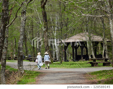 Tourists hiking on a forest trail in Kamikochi, a popular tourist spot in summer 128589145