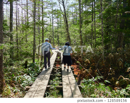 Tourists hiking along a forest trail in Kamikochi, a summer tourist attraction 128589156