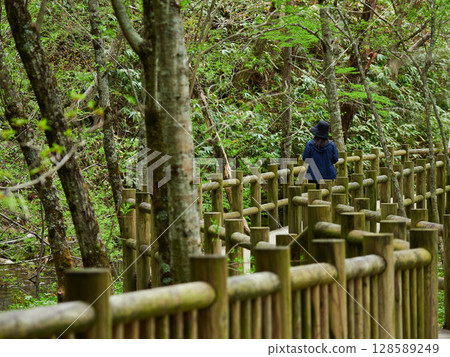 Tourists hiking along a forest trail in Kamikochi, a summer tourist attraction Tourists hiking along a forest trail in Kamikochi, a summer tourist attraction 128589249