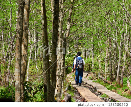 Tourists hiking along a forest trail in Kamikochi, a summer tourist attraction Tourists hiking along a forest trail in Kamikochi, a summer tourist attraction 128589250