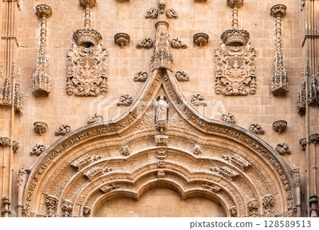 Intricate stone carvings adorn the entrance of the historic cathedral in Salamanca, Spain Intricate stone carvings adorn the entrance of the historic cathedral in Salamanca, Spain 128589513