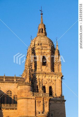Detail of the stunning sandstone tower in Salamanca's historic architecture during sunset Detail of the stunning sandstone tower in Salamanca's historic architecture during sunset 128589558