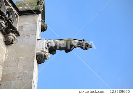 Historical gargoyle overlooking Carcassonne under clear skies 128589660
