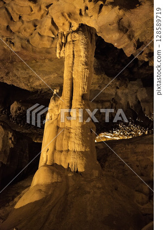 Stalagmite formation in the depths of Grottes de Betharram, France, revealing nature's artistry and beauty Stalagmite formation in the depths of Grottes de Betharram, France, revealing nature's artistry and beauty 128589719