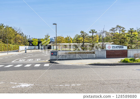 新潟縣新潟市陽光明媚的新潟市水族館 Marinepia Nihonkai 128589880