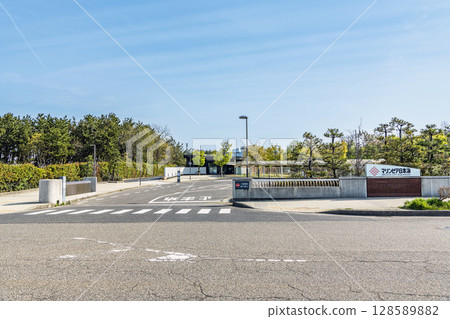 新潟縣新潟市陽光明媚的新潟市水族館 Marinepia Nihonkai 128589882