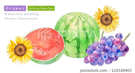 西瓜和葡萄的水彩向量夏季插畫集 西瓜和葡萄的水彩向量夏季插畫集 128589905