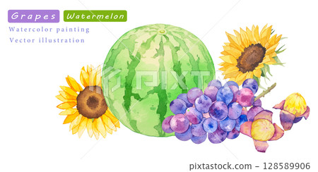 西瓜和葡萄的水彩向量夏季插畫集 128589906